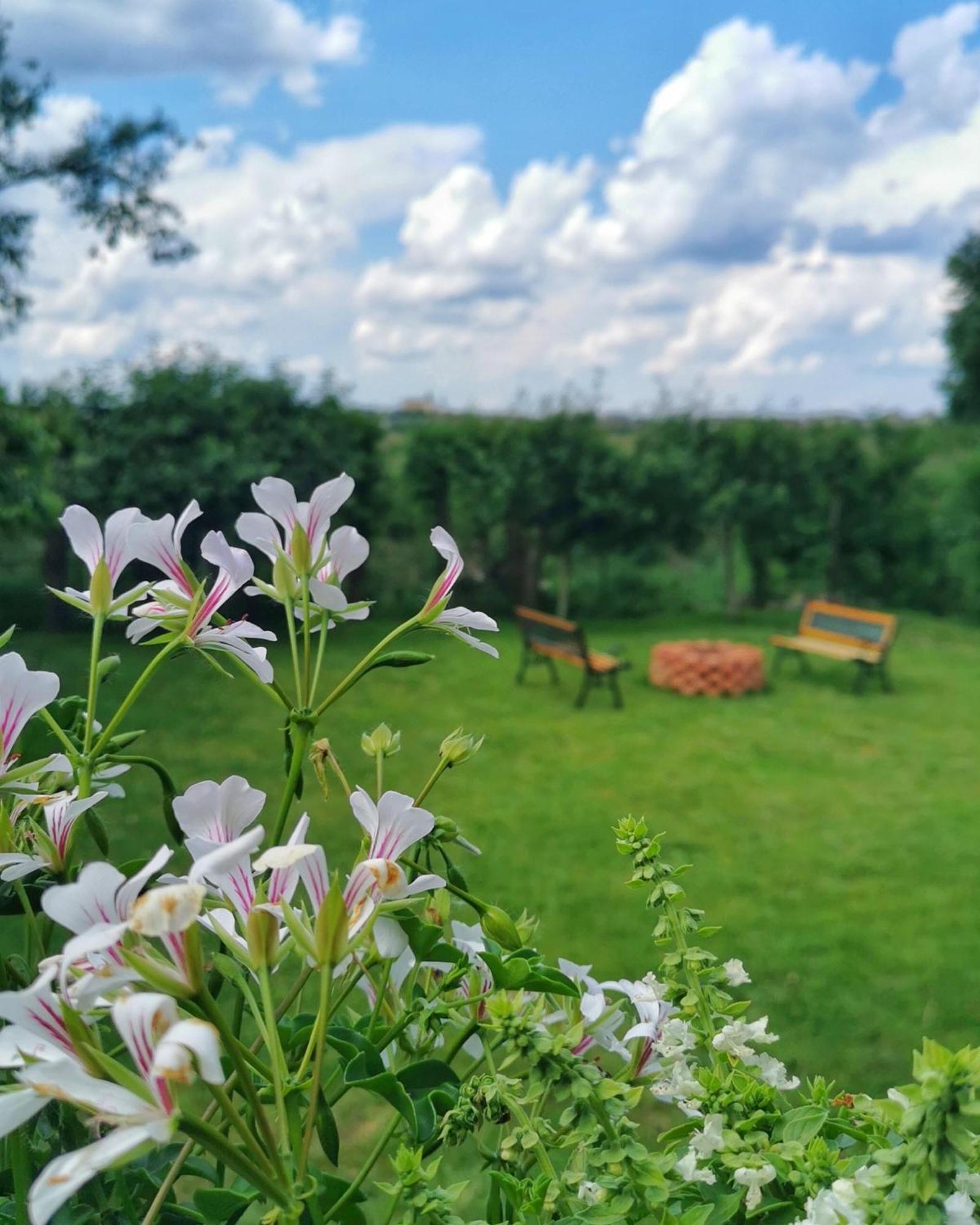 Celeste House Sibiu Exteriér fotografie