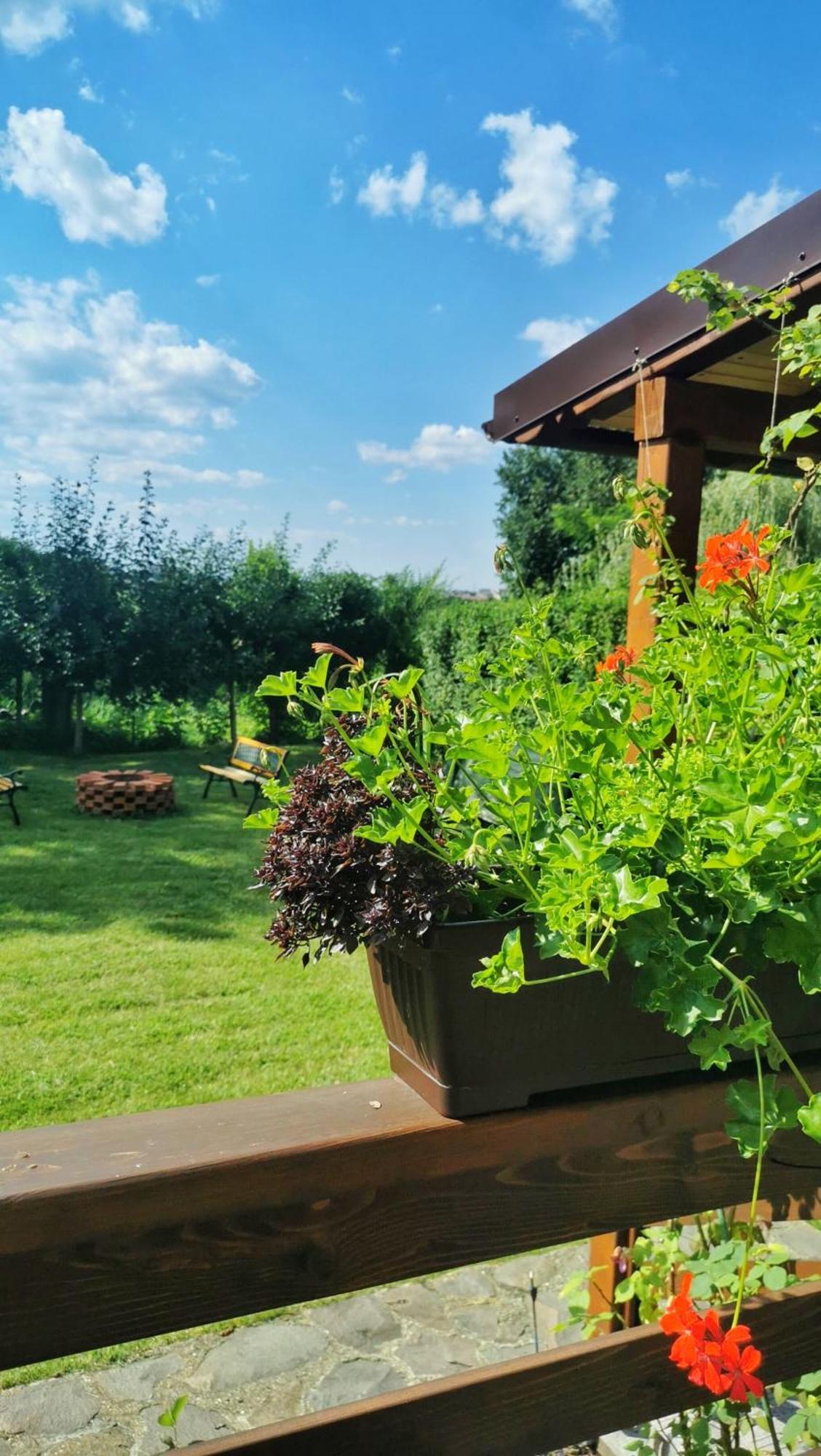 Celeste House Sibiu Exteriér fotografie